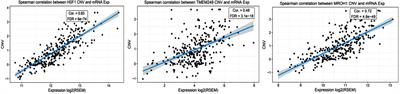 Copy Number Variation of Circulating Tumor DNA (ctDNA) Detected Using NIPT in Neoadjuvant Chemotherapy-Treated Ovarian Cancer Patients